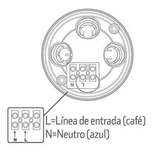 diamsen1